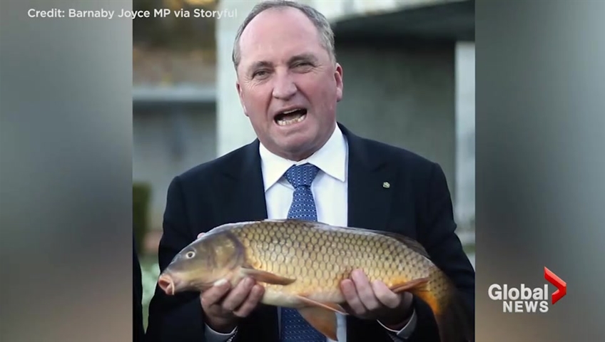 Jamieson Murphy tweet media