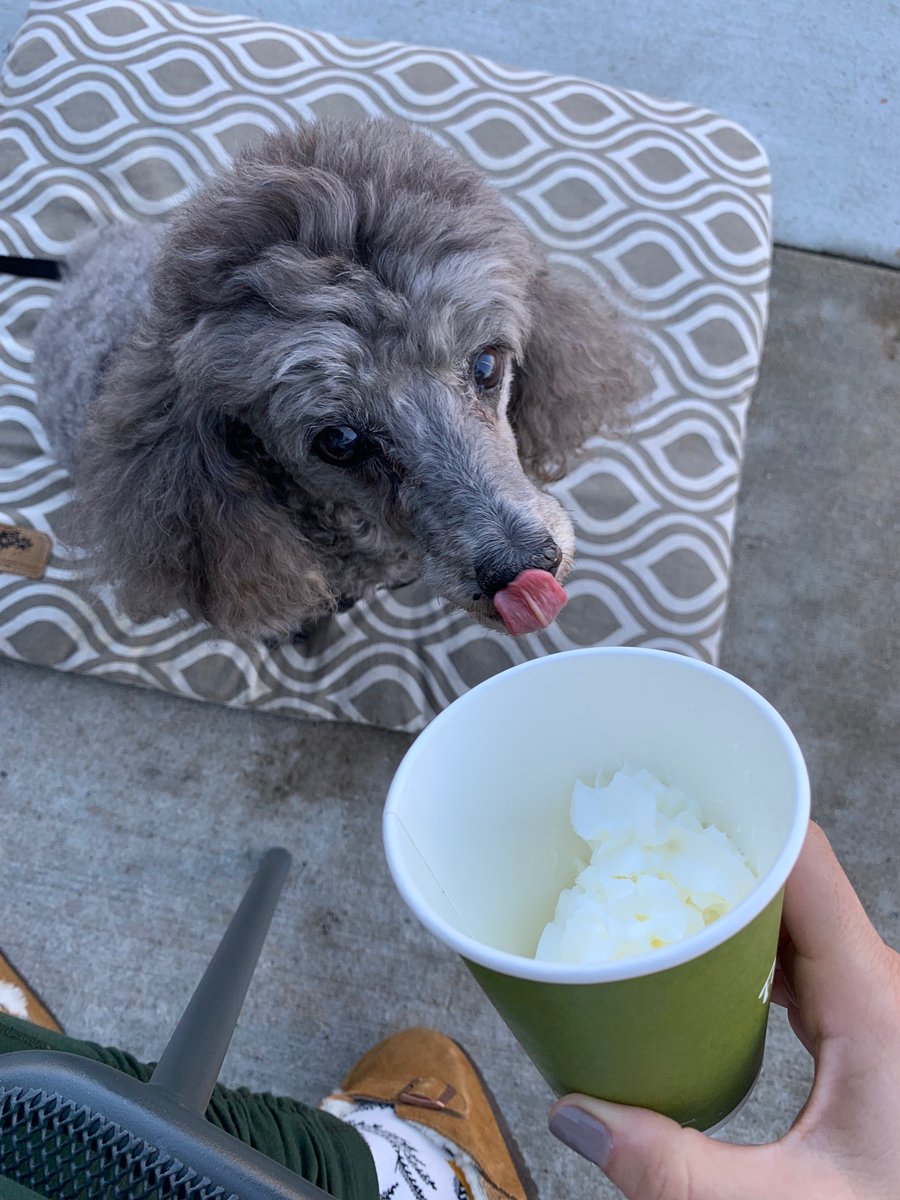 Allison Amrhein (Morton) tweet media