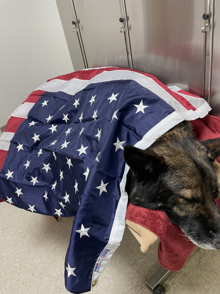 Gak9foundation's tweet photo. Today I said goodbye to my retired K9 partner, Rio. He was a great boy and I will miss him everyday. https://t.co/vQkuVzFnGE