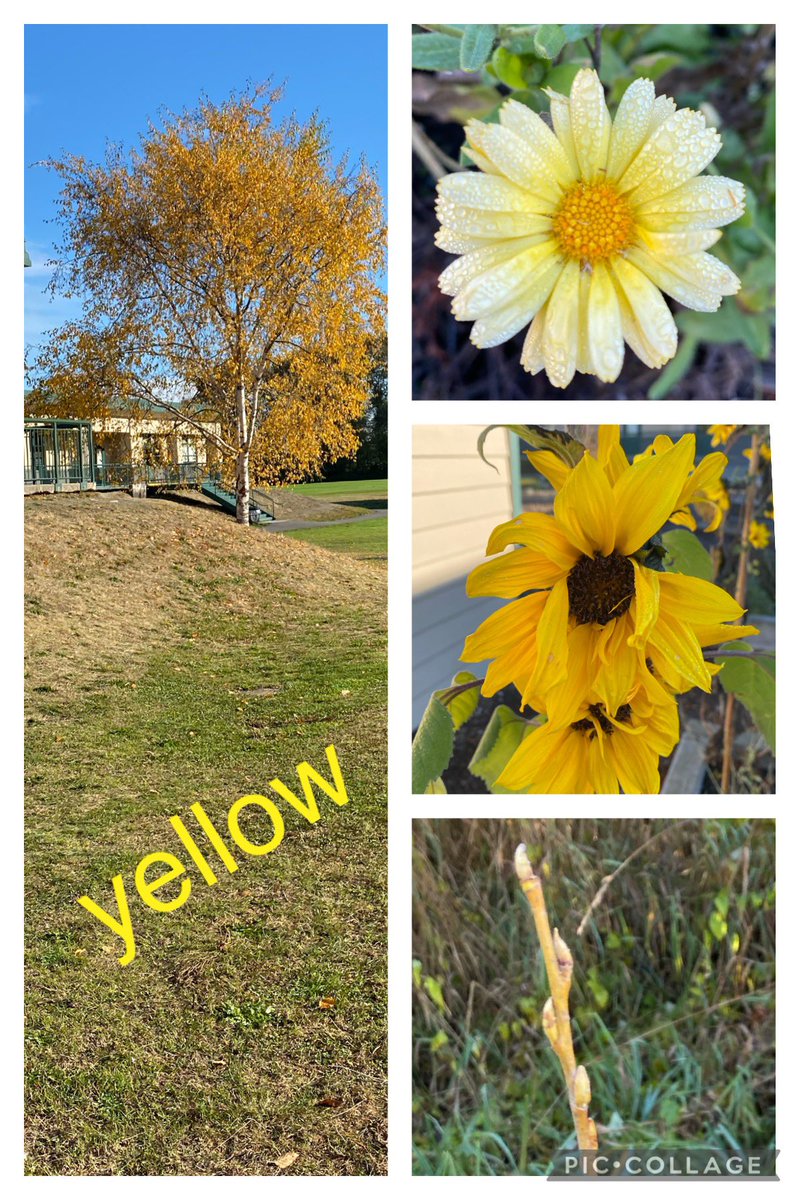 Sharon Baatz tweet media