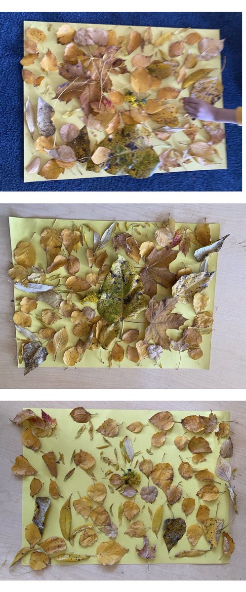 Sharon Baatz tweet media