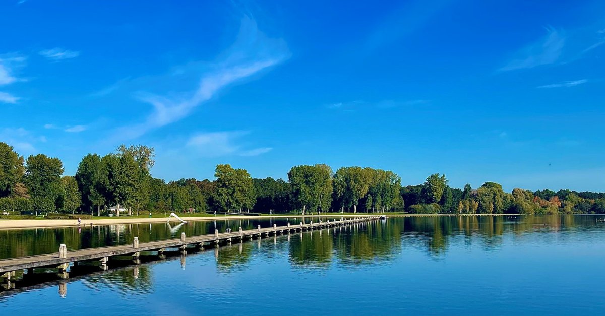 phoslockglobal's tweet photo. It’s hard to believe it’s been almost a year since our innovative product #Phoslock was applied to Kralingse Plas Lake. We were excited to see the lake in such a healthy state, especially after having one of the warmest summers on record. #waterquality
➡️https://t.co/FB0yztrWuV https://t.co/2tN8PDxTeC