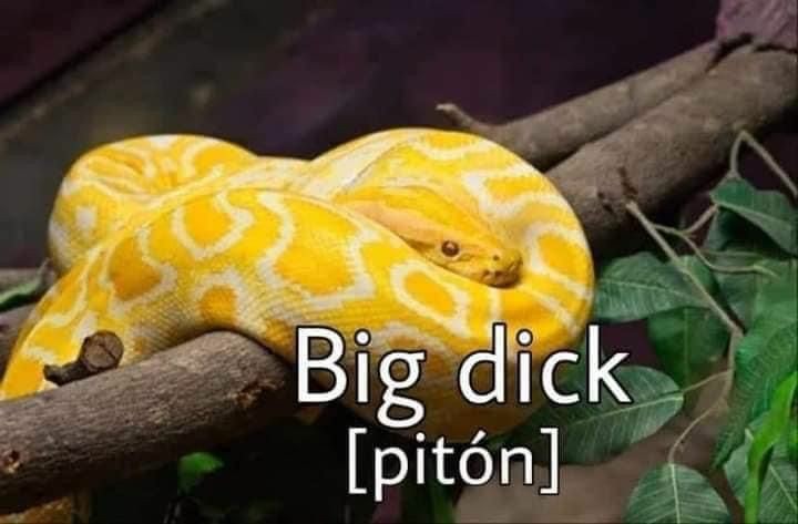 fusilapedofilos's tweet image. josejupadreada