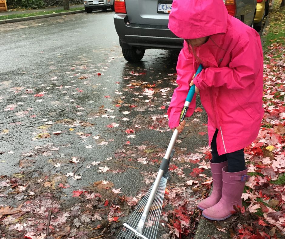 With rain 🌧️ expected tomorrow, now's the time to check your neighbouhood catch basin! Tips 🍂 ✔️Use a long handled rake to remove leaves & litter ✔️Stay out of the street when possible ✔️Keep an eye out for foot & vehicle traffic Looking to adopt? ow.ly/4mTv50Lstjt