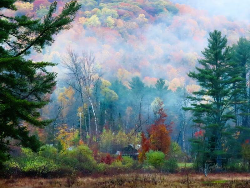 PHOTO OF THE DAY: "Minerva Stream, Minerva, NY." Photo: Sharon Stone