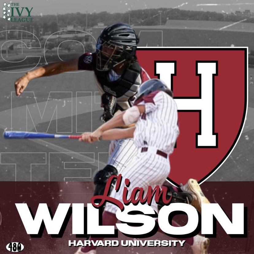 Liam Wilson tweet media