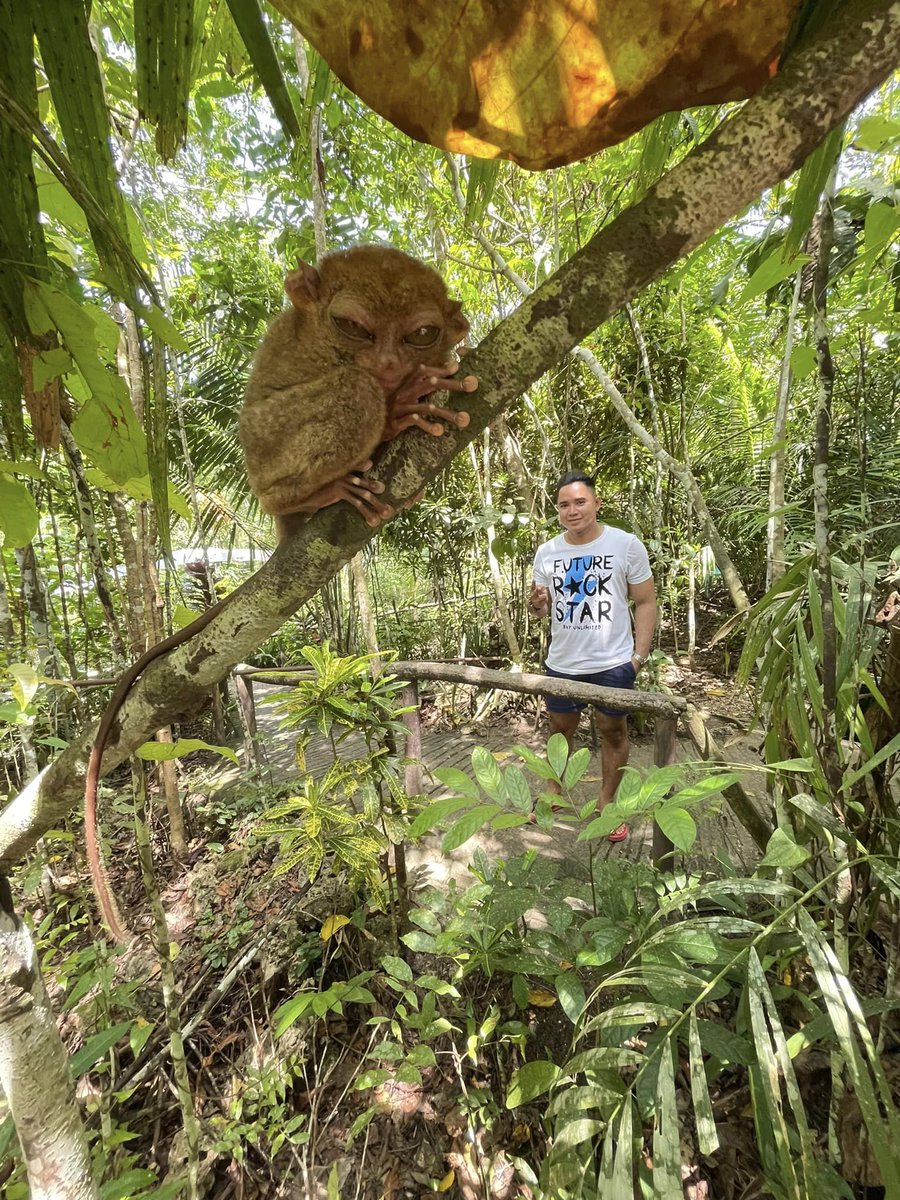 jetjet2_'s tweet image. papicture lang kay trops #tarsier bohol