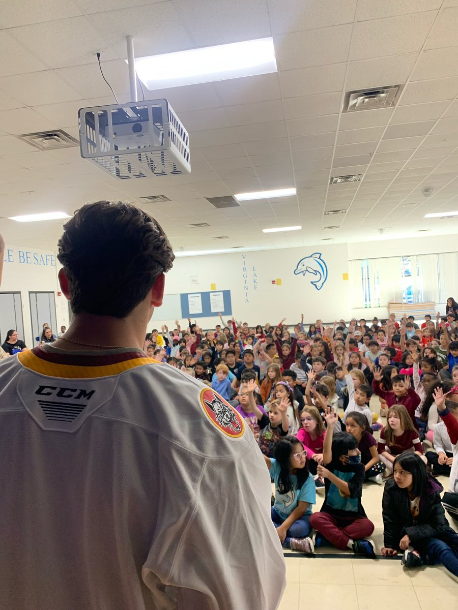 x- Chicago Wolves tweet media