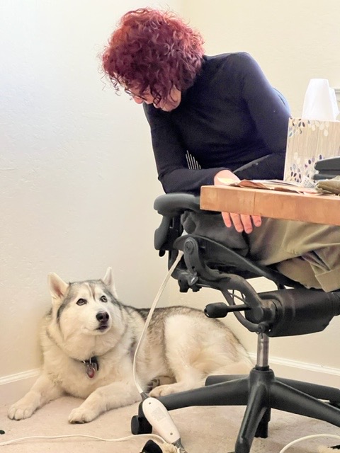 kathygori's tweet photo. My shadow #siberianhuskies #dogsoftwitter #huskies #sibes #snowdoglovers https://t.co/n5Rt2tyQHV