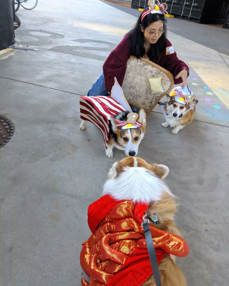 kimchithecorgi's tweet image. The #pawty doesn&apos;t stop 🛑 - part 2 of #halloween costumes! 🎃👻 @thebentway @BoneandBiscuit
#howlween #fall #dogcostume #pupparade #thebentway #boneandbiscuit #weekendrecap #pupcostume #corgi #fluffycorgi #toronto #ontario #Canada #dogsofthebentway #tobentway #Kimchithecorgi