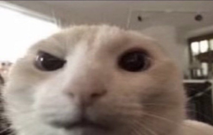 KochengFess v2 tweet media