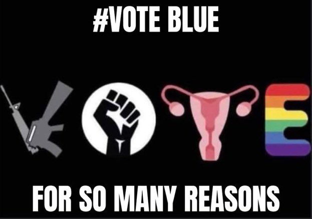 TG22110's tweet image. I don’t know who made this, but thank you to whoever did. 
#VoteBlueForSoManyReasons