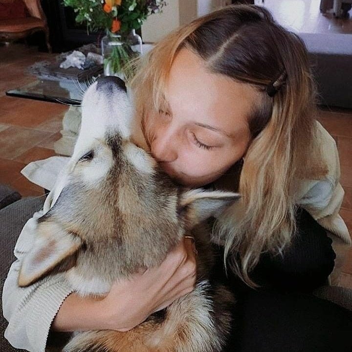 hellasafe's tweet image. ❤️‍🩹