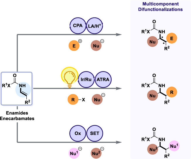 Very happy to share our recent review on “Strategies toward the Difunctionalizations of Enamide Derivatives for Synthesizing α,β-Substituted Amines” just published in Accounts of Chemical Research! <a href="/ggmasson1/">Géraldine Masson</a>, @INC_CNRS, <a href="/ICSN_lab/">icsn_upr2301</a>, <a href="/GroupMasson/">Masson Group</a>
pubs.acs.org/doi/10.1021/ac…