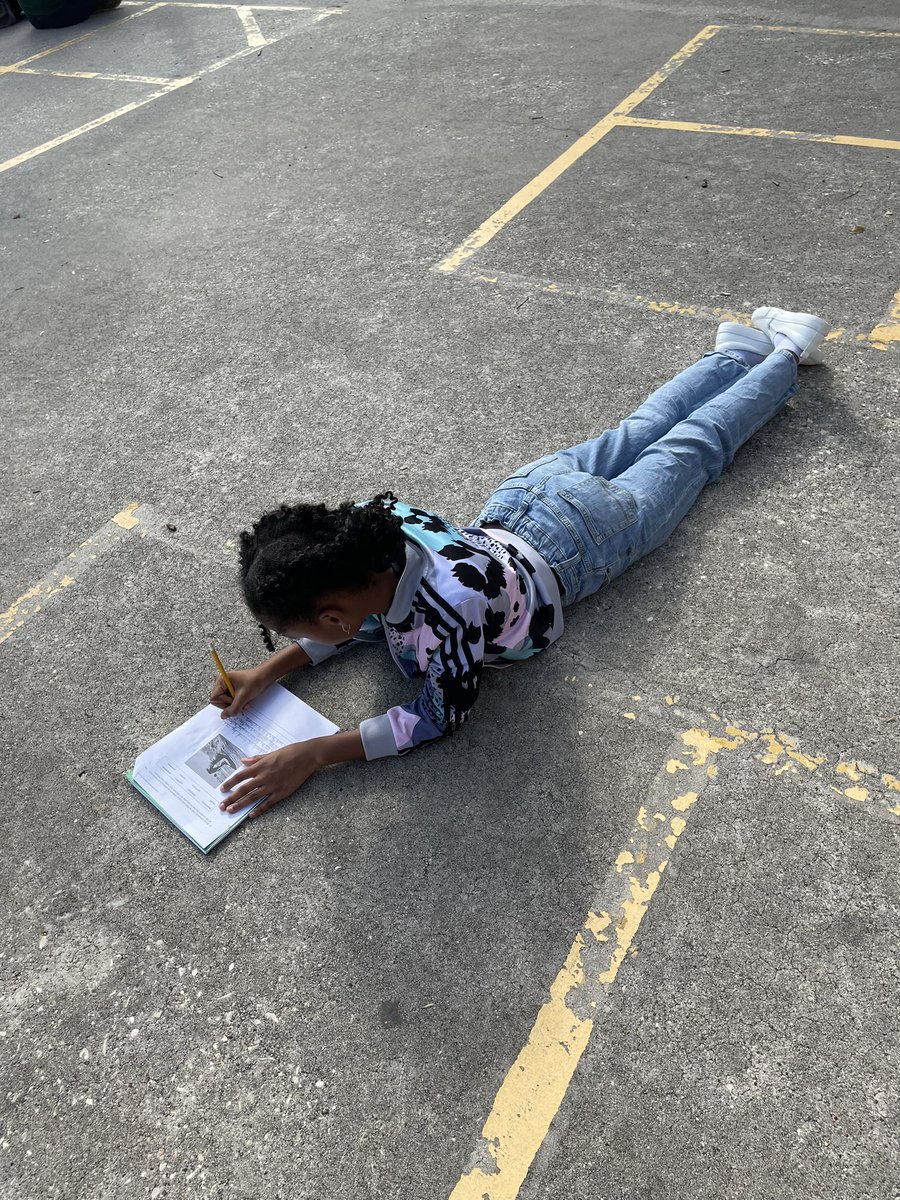 McBride's Classroom tweet media