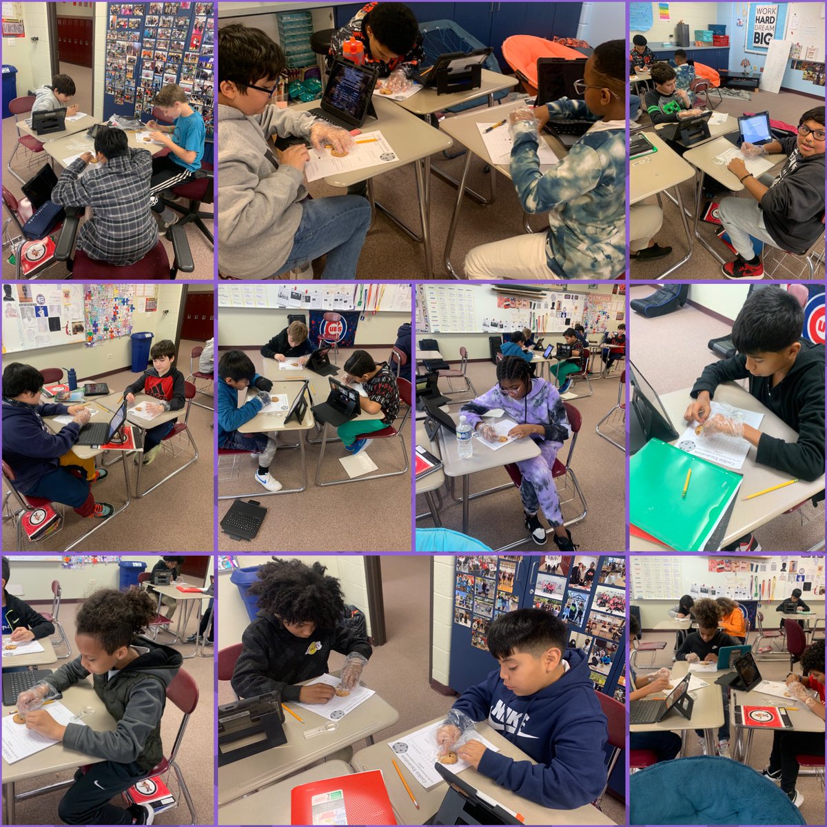 Brandi Zivilik tweet media