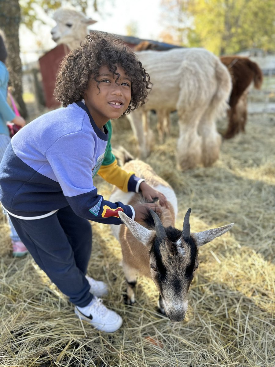 MsSmithVFES's tweet photo. We met sooo many unique animals #farm #fieldtrip #vfes https://t.co/Rswri9rhyu