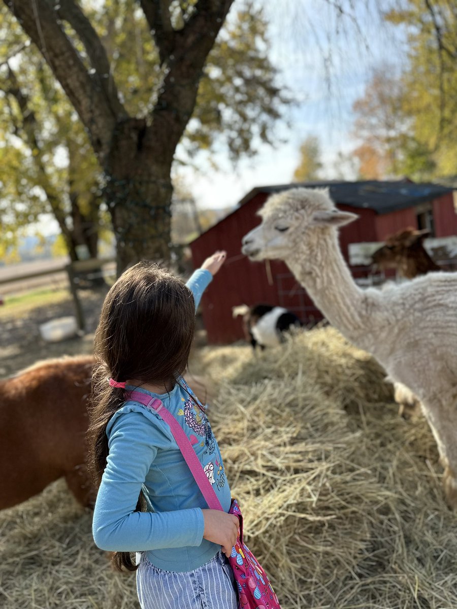MsSmithVFES's tweet photo. We met sooo many unique animals #farm #fieldtrip #vfes https://t.co/Rswri9rhyu