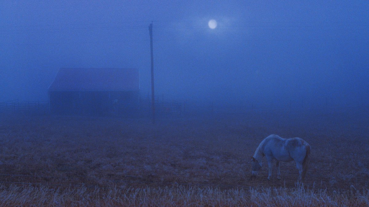 eamonsphotoss's tweet photo. a blue world, captured on 35mm film https://t.co/jS5hQApYS9