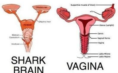 🤔🤔🤔🤔🤔🤔 