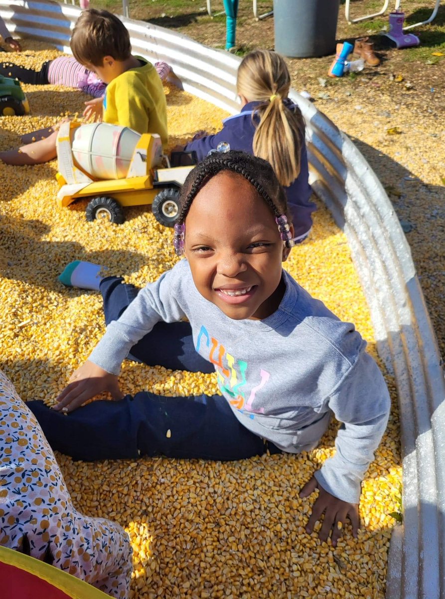 MsSmithVFES's tweet photo. Explored the corn pit!🌽 #itscorn #vfes https://t.co/dWBTKjnSFI