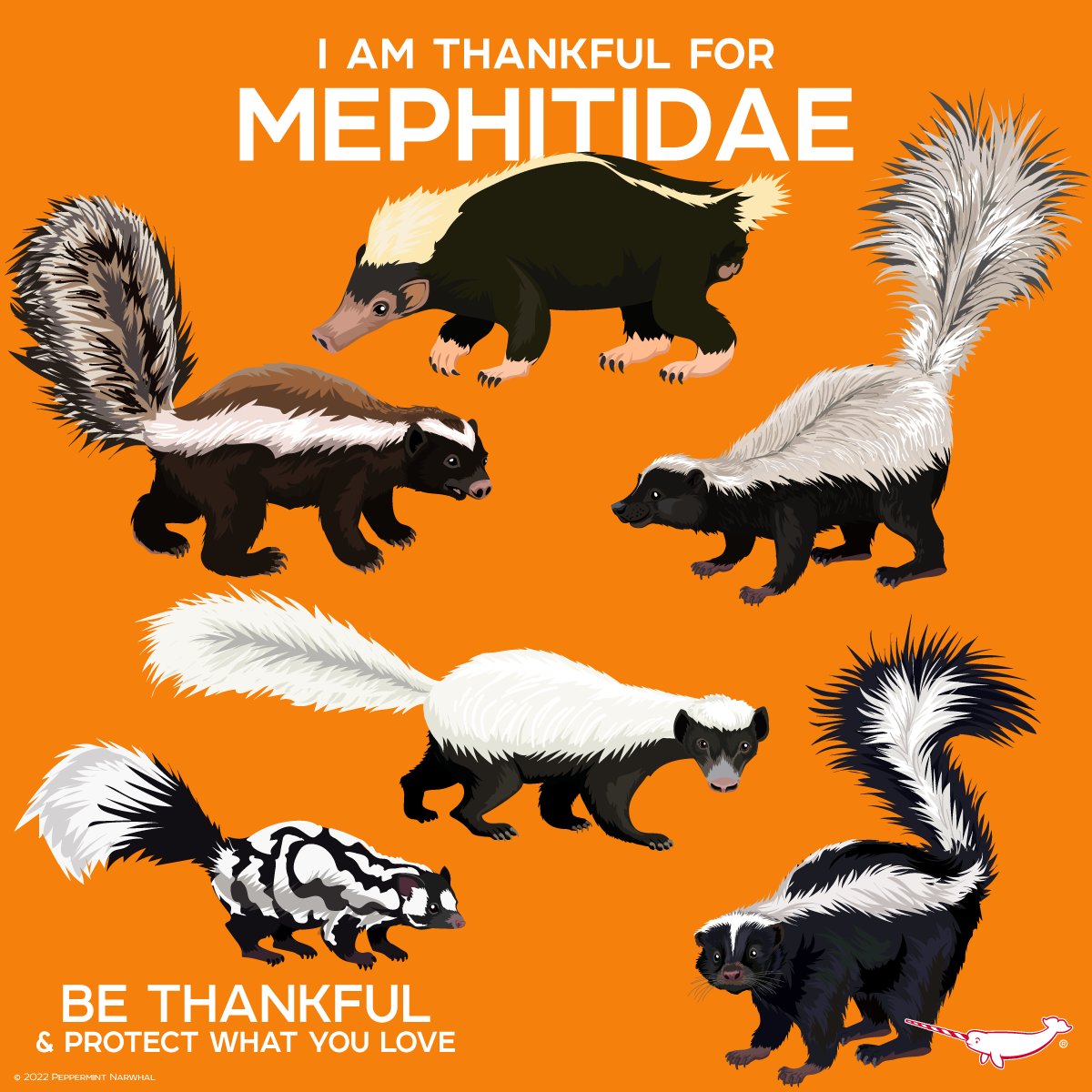 I am #Thankful for #Mephitidae

2023 Calendar available now!
Shop #PeppermintNarwhal at peppermintnarwhal.com

#Thanksgiving #Thanksgiving2021 #BeThankful