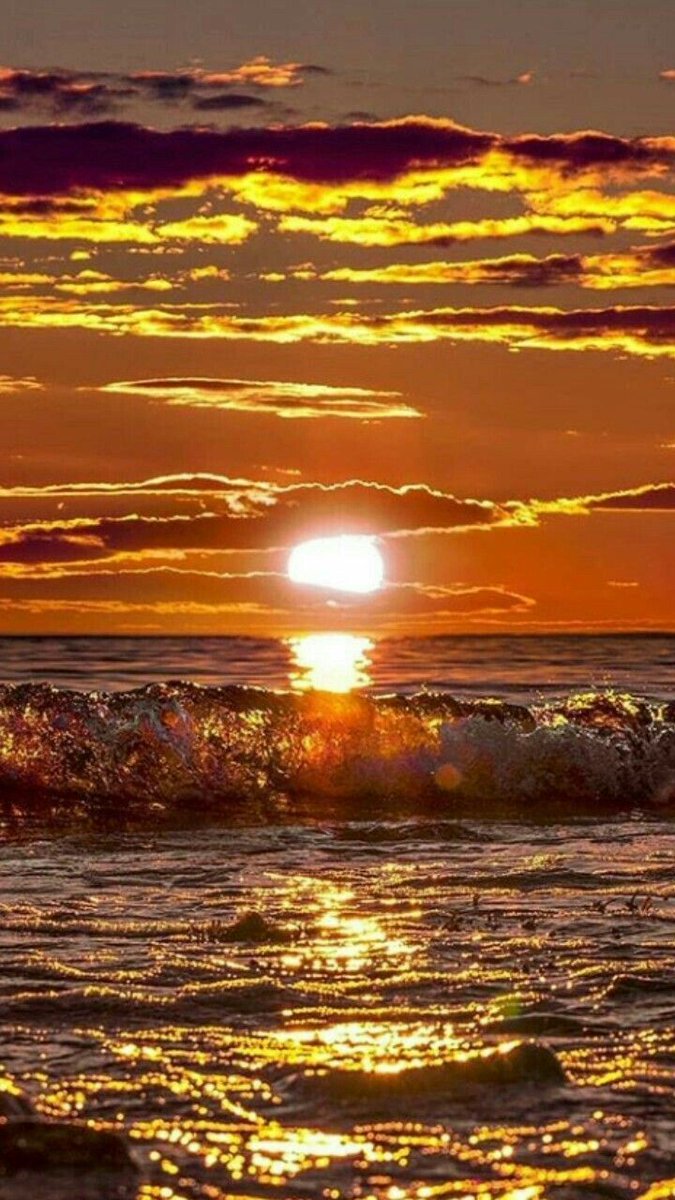 🌻🌼fer@luna🌼🌻 (@fernand46176924) on Twitter photo 