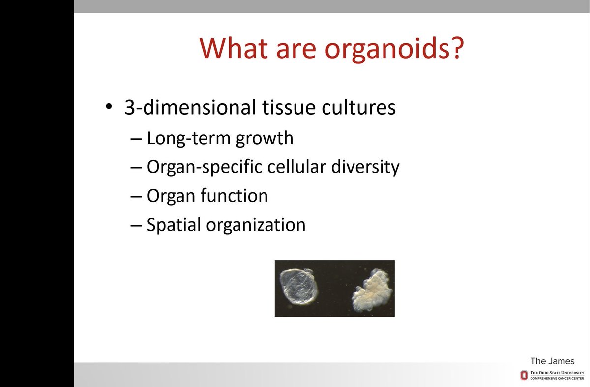 Big thanks to ⁦<a href="/TheAAES/">American Association of Endocrine Surgeons</a>⁩ ⁦<a href="/InabnetMD/">WB Inabnet III, MD, MHA, FACS</a>⁩ ⁦<a href="/UKyGenSurgery/">UK General Surgery Residency Program</a>⁩ ⁦<a href="/CYLeeMD/">Cortney Y. Lee, MD</a>⁩ for inviting me to give the AAES Visiting Professor Grand Rounds! Had a great time making new friends and talking science ⁦<a href="/OFacks/">Oliver Fackelmayer, MD</a>⁩ ⁦<a href="/MHundeyin/">Mautin Barry-Hundeyin</a>⁩ ⁦<a href="/OhioStateSurg/">Ohio State Wexner Medical Center Surgery Dept.</a>⁩ ⁦