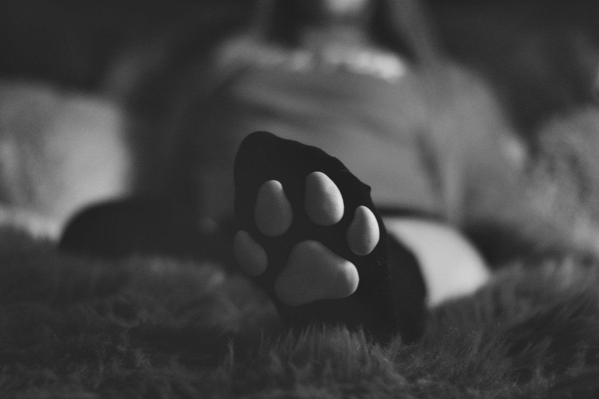 Who doesn't love a cute pair of toe beans? Want to see more cute feet pics? Check out the new link in my linktree 😘 👣💋 linktr.ee/Winterfirefox