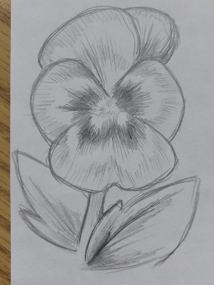 ✨ Candy Effing Wizard ✨ tweet media