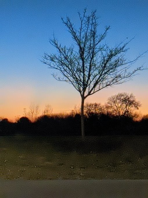 Amy E Forgette, CMP tweet media