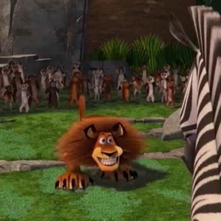 Los traductores de Miraculous traduciendo 4 capítulos seguidos: 💀