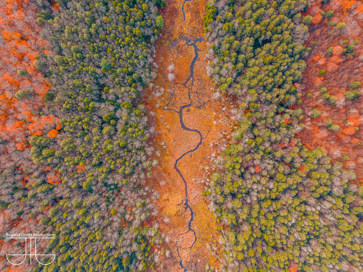 Beyond Limits Productions tweet media