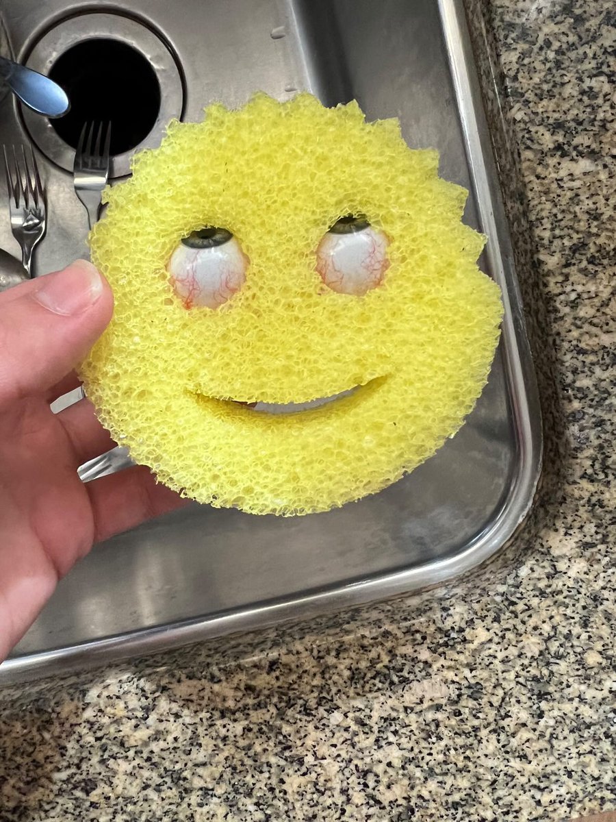 I tried to give my Scrub Daddy a spooky flourish with these glass eyes but forgot about it and just scared the shit out of myself walking by my sink