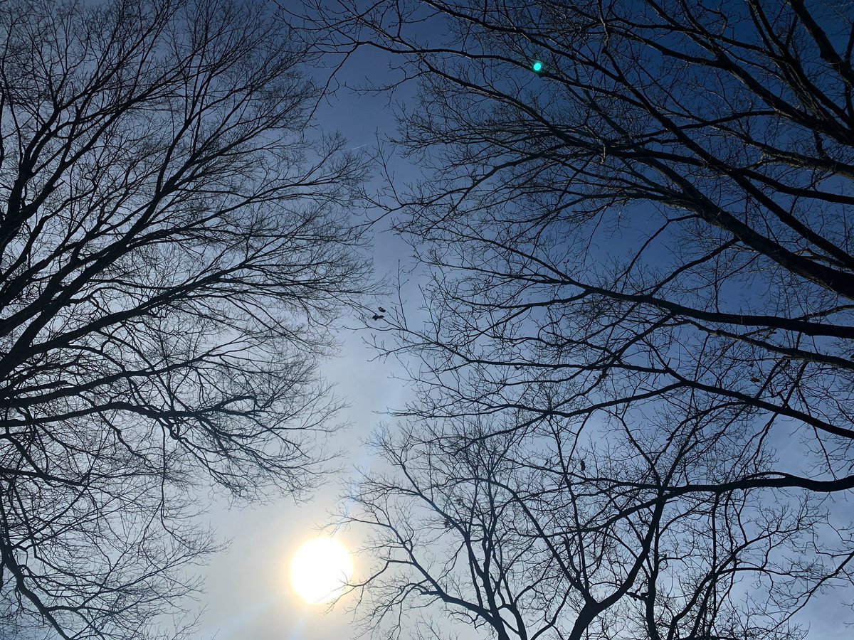 Once I do get a camera, I will put a portfolio together as soon as possible and share what I can do with you all. I will be taking clients for mostly anything you guys could ask for at that point!!!! I appreciate you all for being a part of my dream and following :)