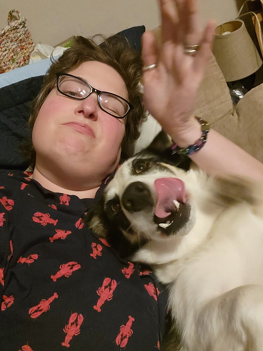 BeebsJoy's tweet photo. Is it possible to be #LovedToDeath?  And if so I am certain it will involve a #corgi.

#corgicrew
#AdoptDontShop 
#fosteringsaveslives 
#corgimix
#rescuedog https://t.co/criXk3MIWq