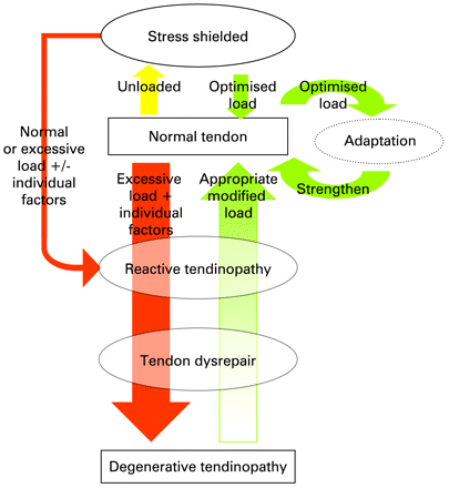 ClinicianBetter's tweet photo. Thursday's is now classic paper day!

We are going to kick off with this tendionopathy classic from Cook &amp; Purdham in 2009 

"Is tendon pathology a continuum? A pathology model to explain the clinical presentation of load-induced tendinopathy" 

https://t.co/4T0hYEINpa https://t.co/7bn2buKlkS