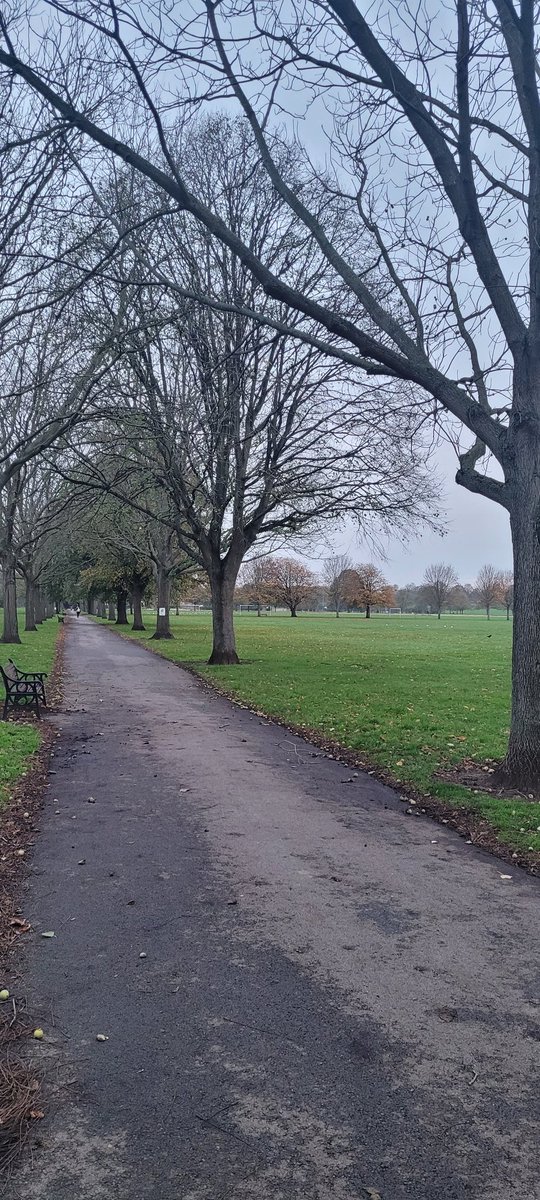 My morning commute has changed for the better...