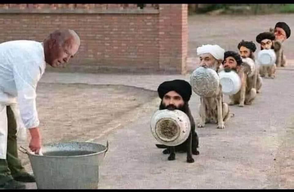 daoud_ahmady's tweet photo. @Jh0cXDJox1bDM0S @AAliFaiq @qadiri_romand @nrf2johnAFG @DrZackKhan1 @Anwar11025648 @MujMash @samijansami787 @nazir_aryai @parvaze57 @3PR9Vf1U6QRP0KN باداران خود را به ما حلقه آویز نکن https://t.co/SXSpGgMfN5