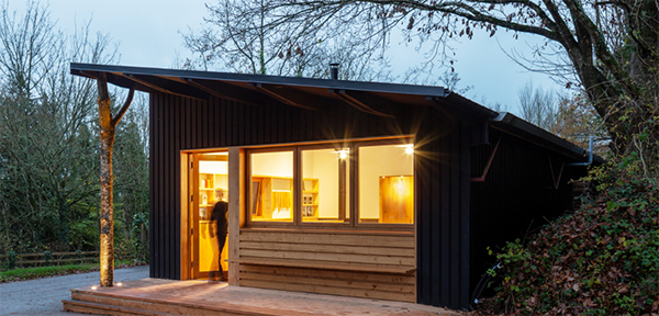 Timber iQ Publication tweet media