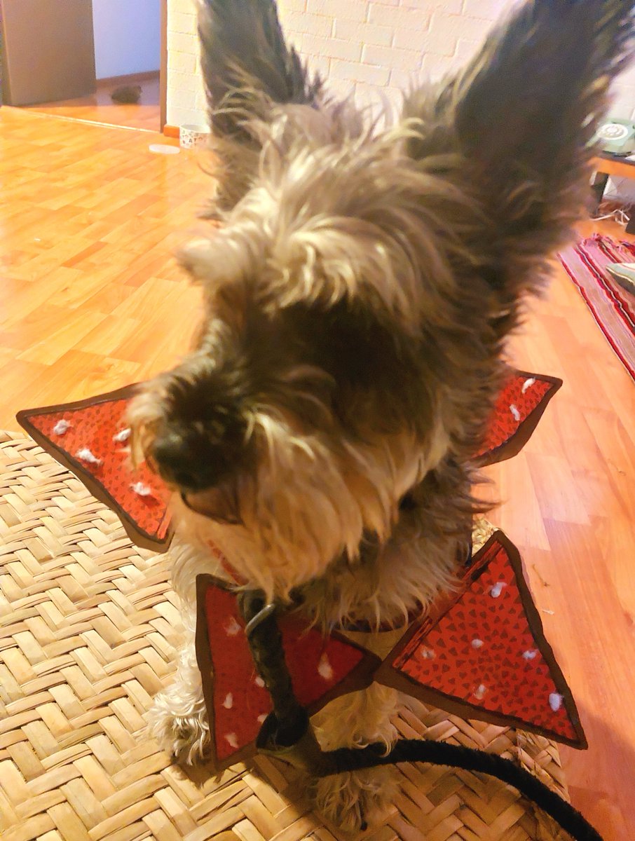 tlaltemique's tweet photo. #demodogs π https://t.co/A5qgipogPL
