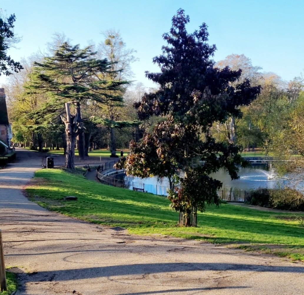 Good Morning! 

It's Almost Fridayy, How's Your UT Looking Ahead For FUT Champs? 

💬👇