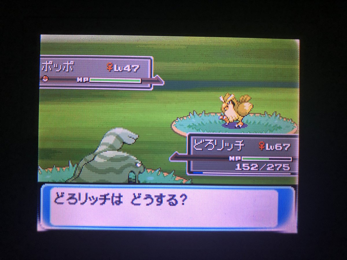 ポケモンgo ポッポの色違い 入手方法と実装状況 攻略大百科