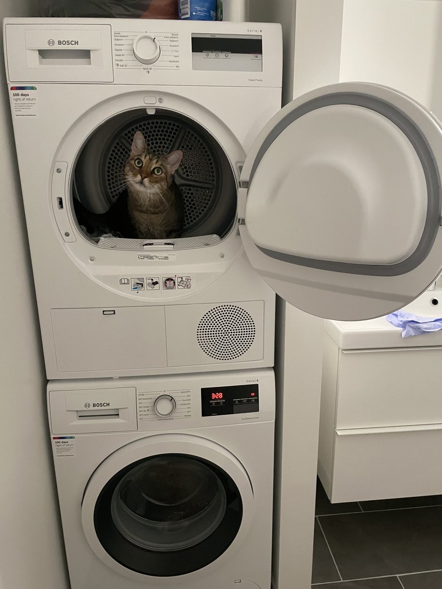 2ndNatureDev's tweet photo. @CatsOfYore Reminds me of my boy. (He jumped in there on his own after I emptied it. Nice and warm!) https://t.co/1N1i80P0Ni