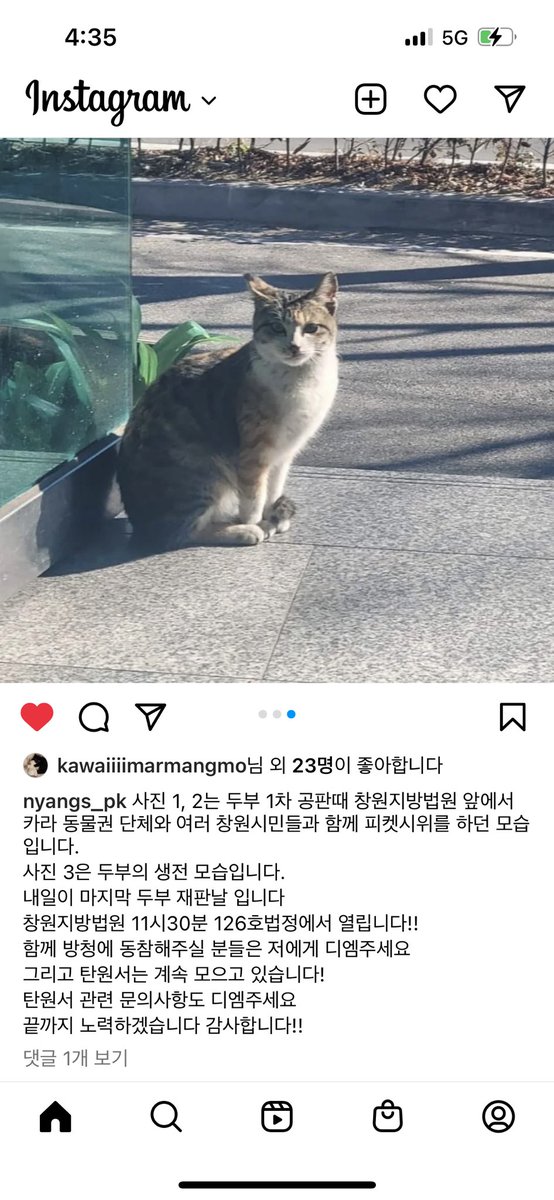 내일이 창원에서 20대 남성에 의해 벽에 20회 이상 패대기쳐져 살해당한 고양이 두부 사건의 마지막 재판날이라고 해요. 아직 탄원서 모으고 계신다고 합니다! 이 계정으로 탄원서 문의 주시면 된다고 해요. 

instagram.com/p/CkfXbl9LFrH/…