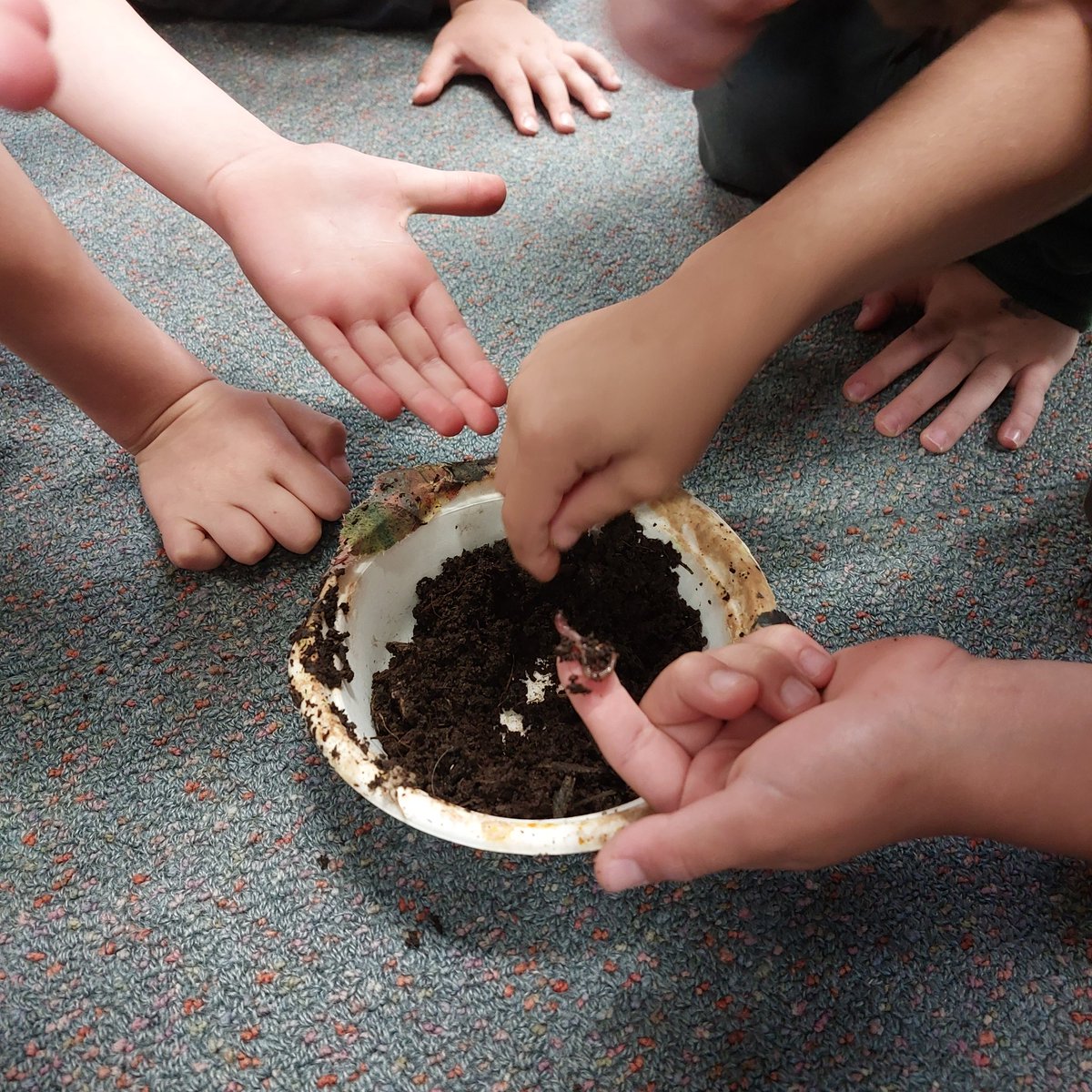 Miss_KLe's tweet photo. Today, Stage 1 students had an incursion and learnt about how to compost and recycle. They were also very lucky to meet some creepy crawly composting friends!! 🪱🍎 
@Sherwood_Grange 
@KellieKean
#21K2022 
#1KB2022 https://t.co/2CVXT2JbOy