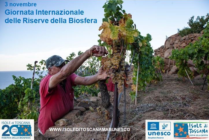 Oggi si celebra la prima Giornata Internazionale delle Riserve della Biosfera, istituita dall'UNESCO per celebrare le Riserve della Biosfera  
<a href="/UNESCO_MAB/">UNESCO Biodiversity</a> 
Scopri tutti i dettagli sull'iniziativa su bit.ly/3Tcqwo