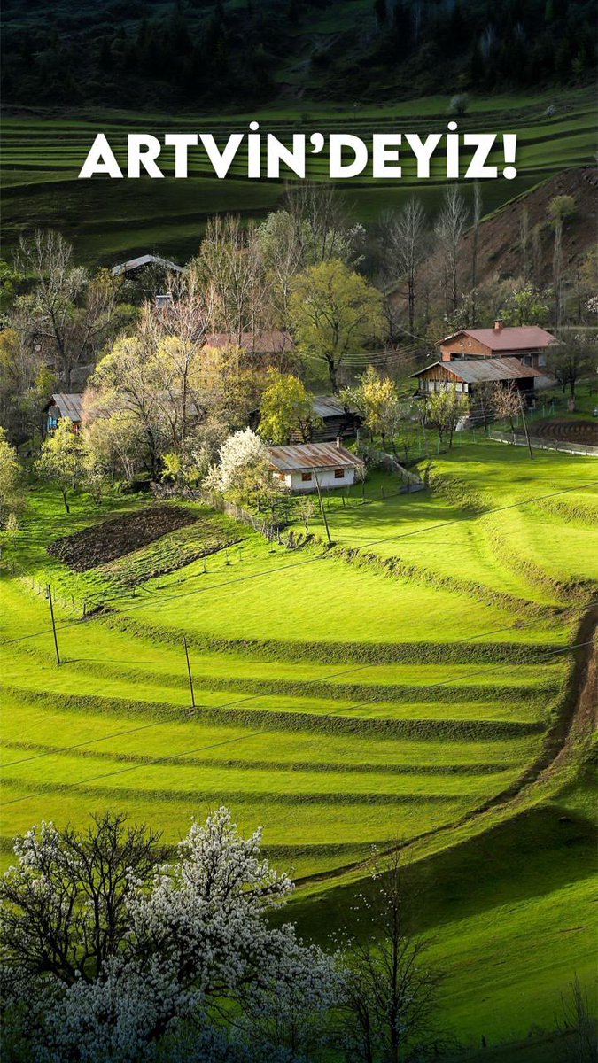 kasapoglu's tweet photo. 📸Doğası ve temiz havasıyla Karadeniz'in güzide şehri Artvin'deyiz...

📚Artvin Çoruh Üniversitesi’nde öğrenci arkadaşlarımız ile bir arada olacağız. https://t.co/aWlmRekAVs