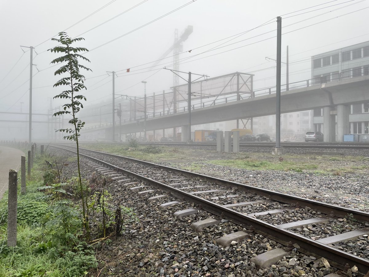 @britram.bsky.social (Brian Trammell) tweet media