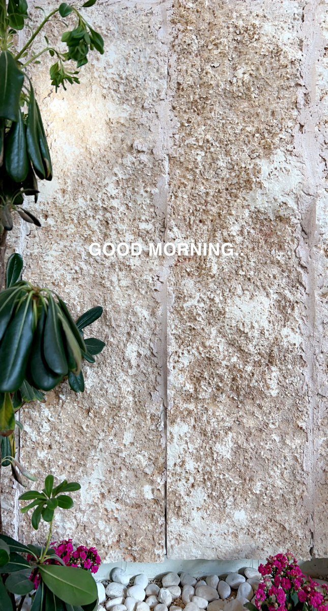 Morning_coff's tweet photo. https://t.co/7bZdL1UdSQ